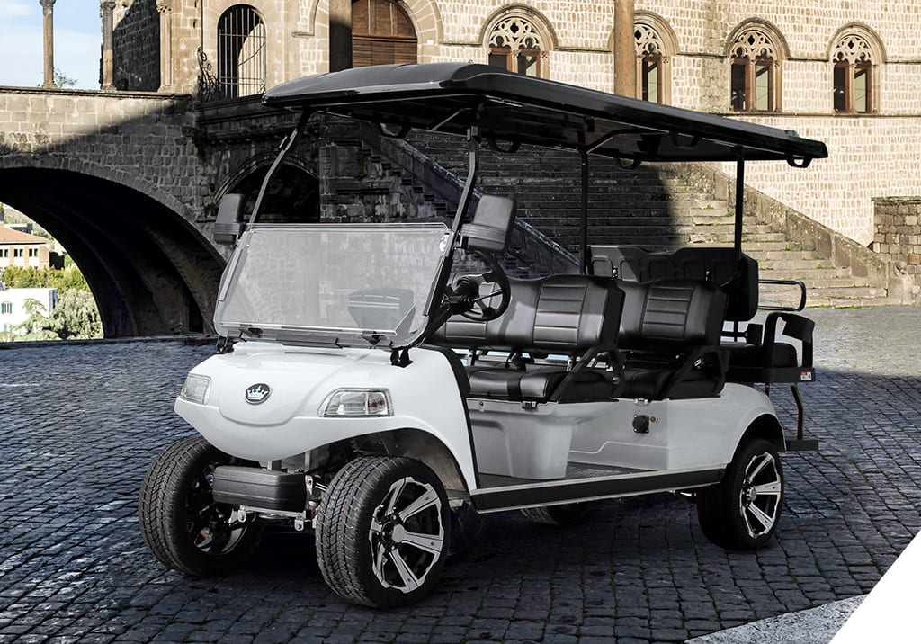 pro-carrier6-pic-3a carrier 6 plus golf cart