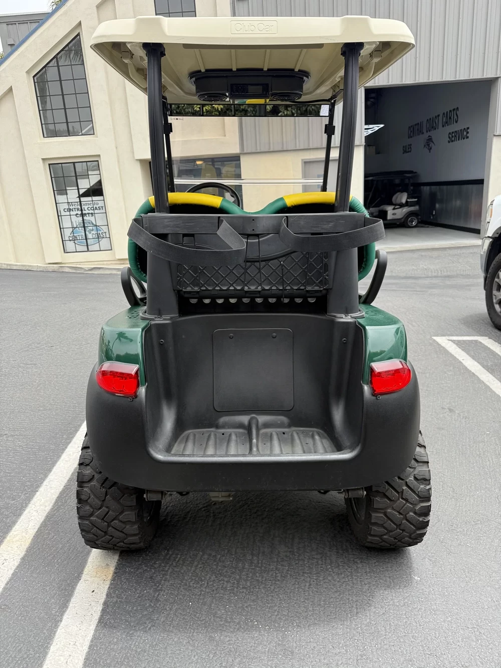 IMG_0857 (convert.io) 2017 club car precedent golf cart rear view storage