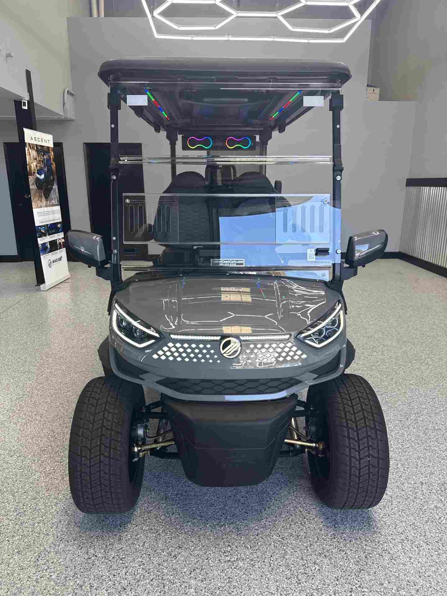 Used 2026 Madjax Ascent in Gray — photo 2 of 13