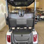 New 2027 Evolution D5 Ranger 4 Plus in Pearl White — photo 5 of 8