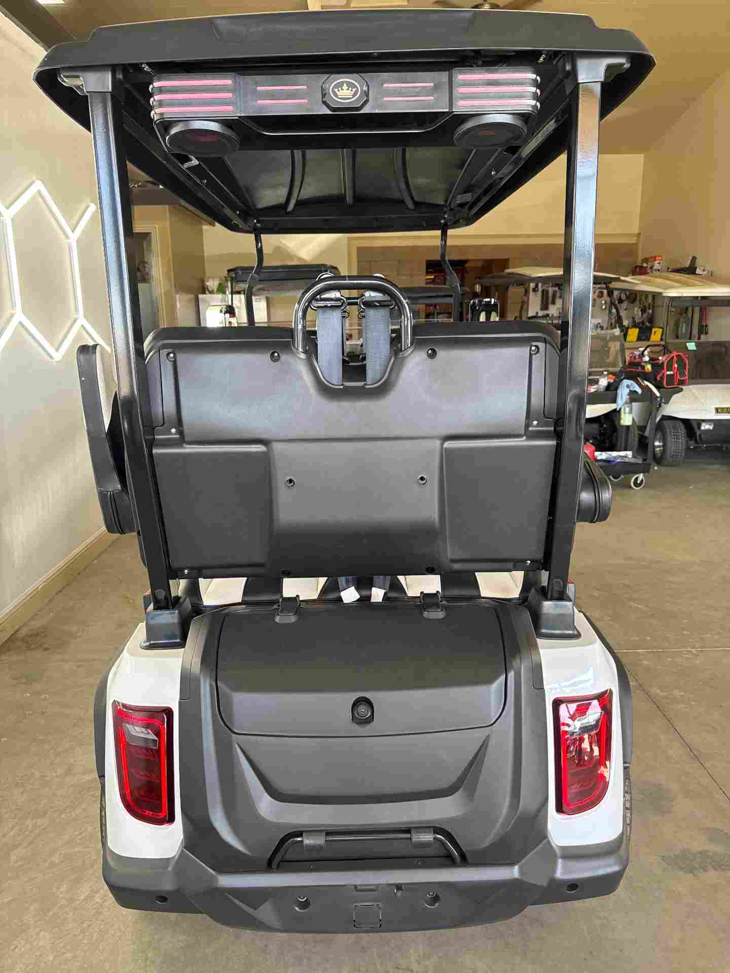 New 2027 Evolution D5 Ranger 4 Plus in Pearl White — photo 5 of 8