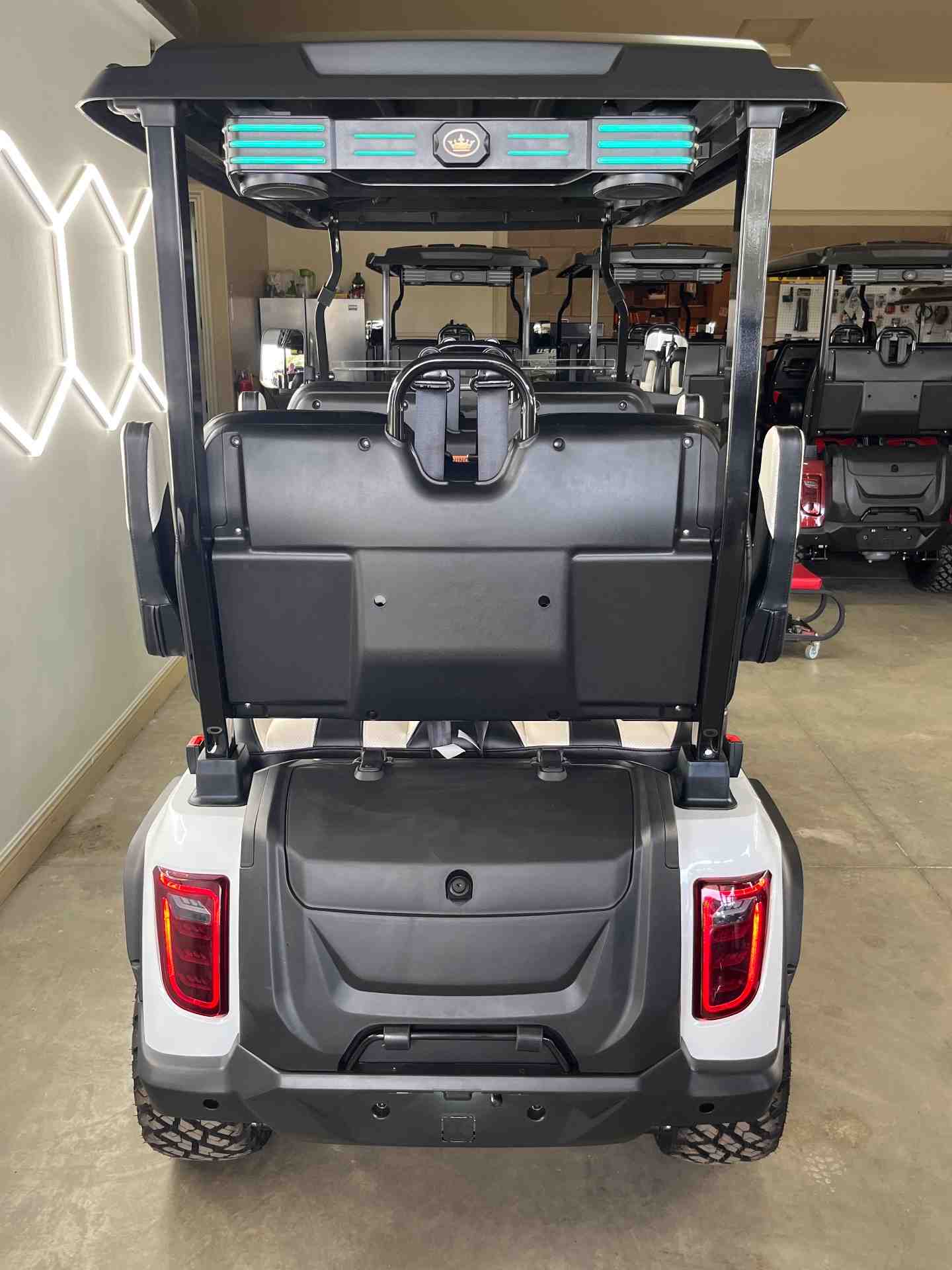 New 2027 Evolution D5 Maverick 4 Plus in Pearl White — photo 6 of 8